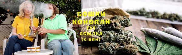 трава Бородино